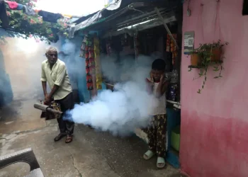 Why Dengue Cases in India Are Rising Before the Monsoon Season