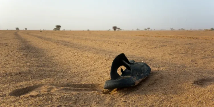 At Least 49 Die of Thirst After Truck Breaks Down in Niger Desert