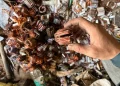 India’s e-waste workers face growing toxic health risks