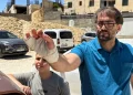 Family Grieves After Baby Shot Dead in Hebron Incident in Occupied West Bank